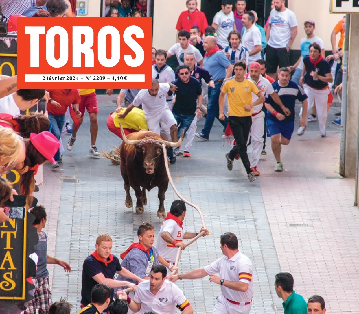 El Toro Enmaromado De Benavente Protagonista De Portada En La Revista