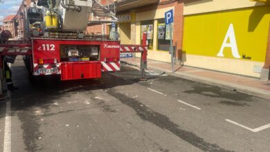 Bomberos interviniendo en la Vizana